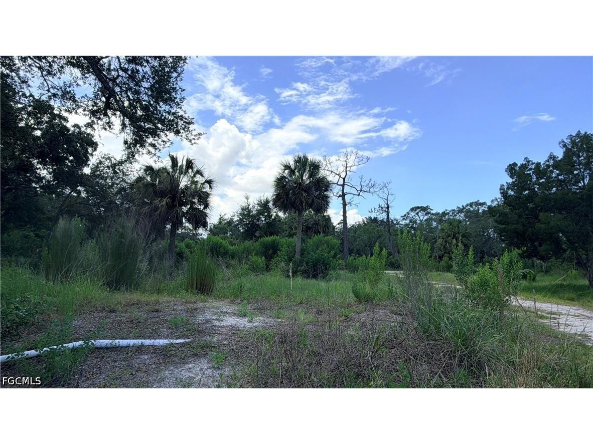 7675 Detroit Avenue Hudson FL 34667 2026024932 image10
