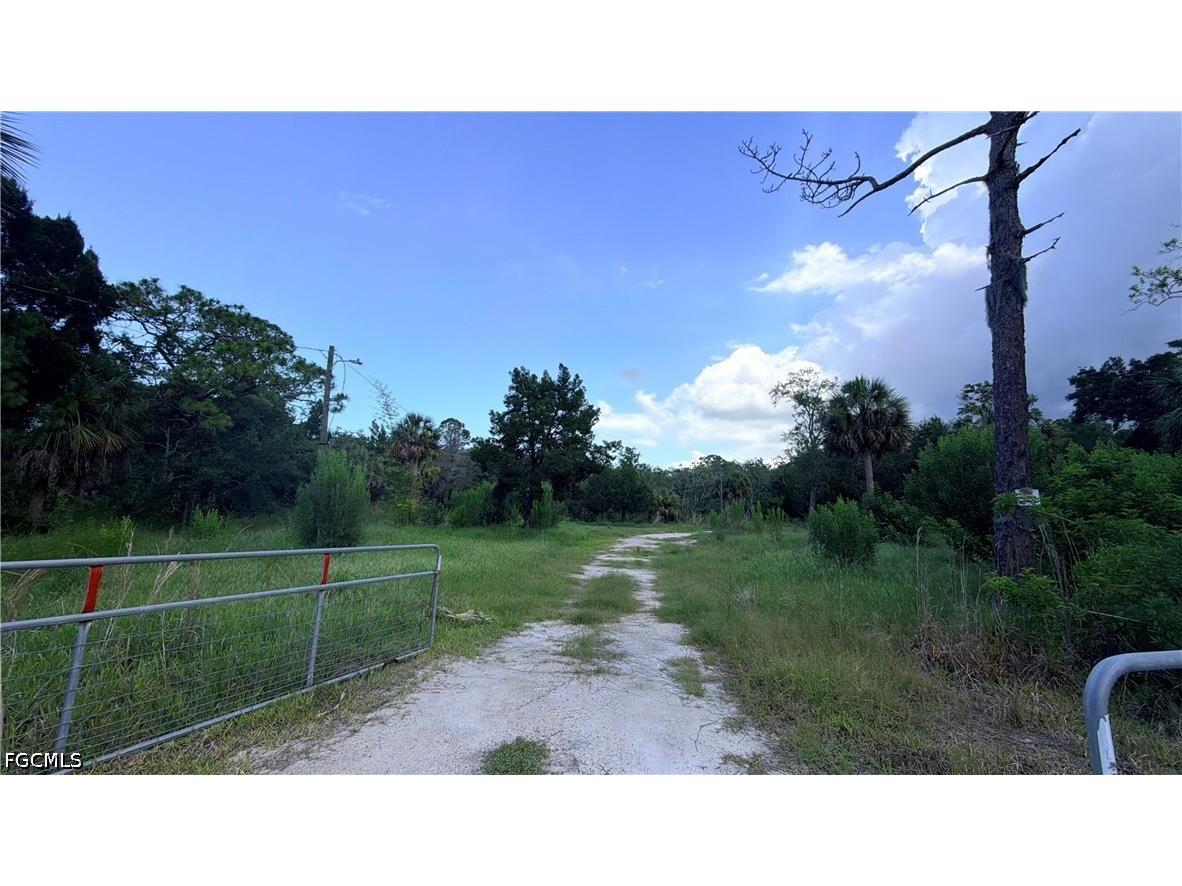 7675 Detroit Avenue Hudson FL 34667 2026024932 image3