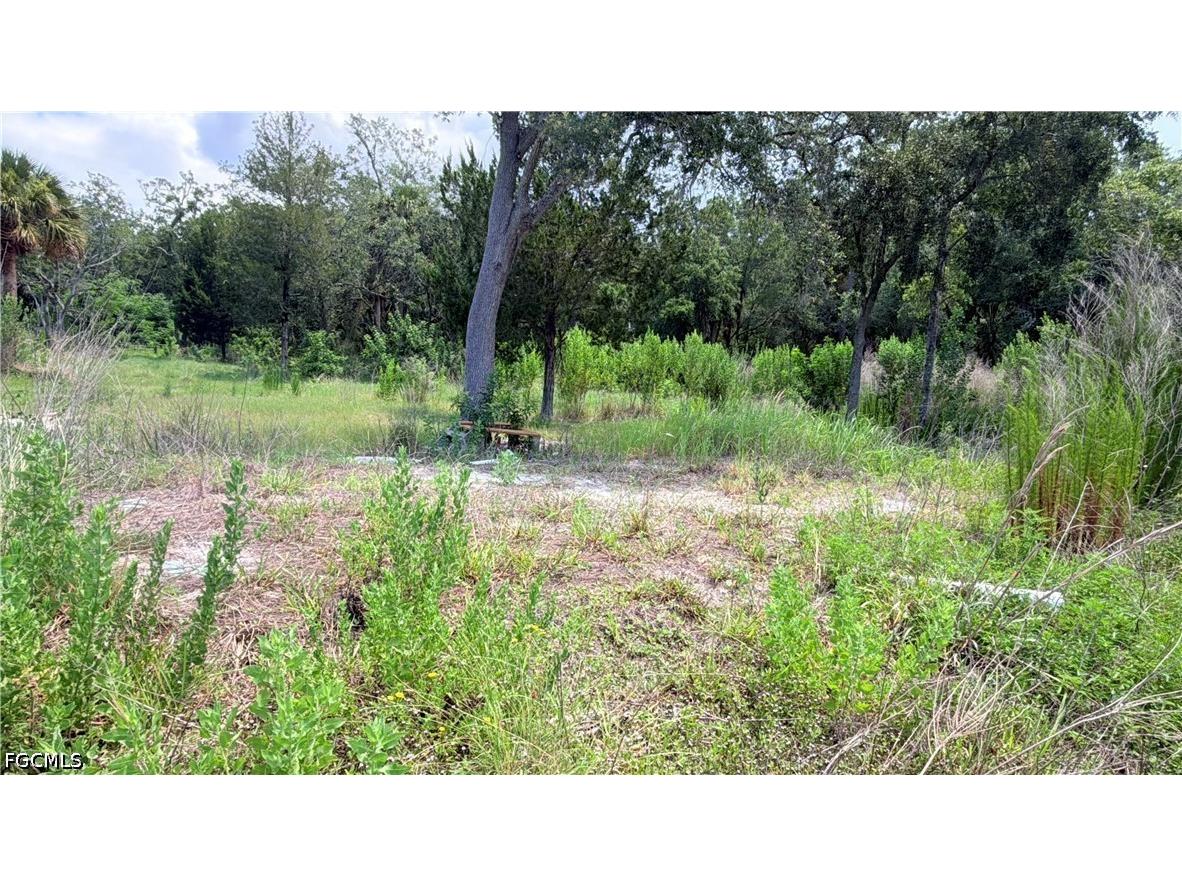 7675 Detroit Avenue Hudson FL 34667 2026024932 image4