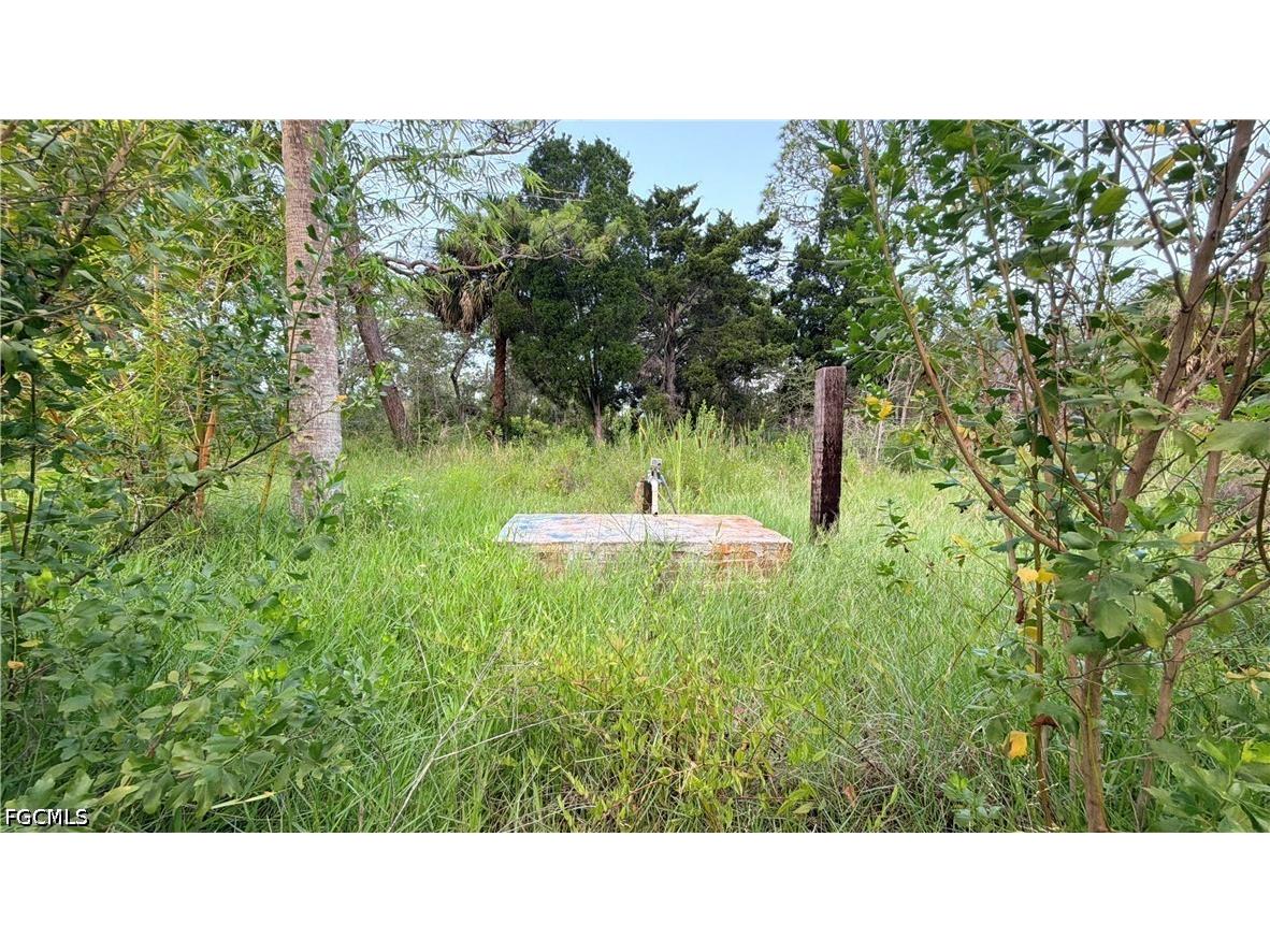 7675 Detroit Avenue Hudson FL 34667 2026024932 image6