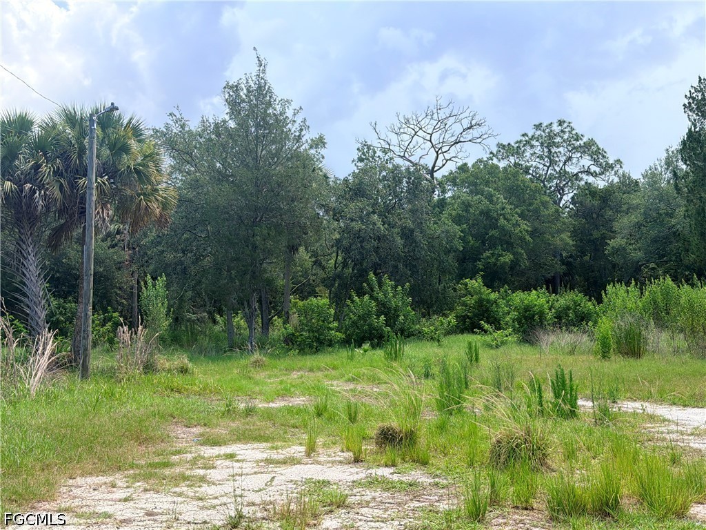 7675 Detroit Avenue Hudson FL 34667 2026024932 image7