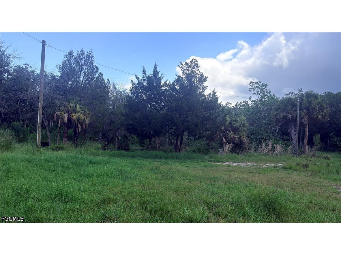 7675 Detroit Avenue Hudson FL 34667 2026024932 image8
