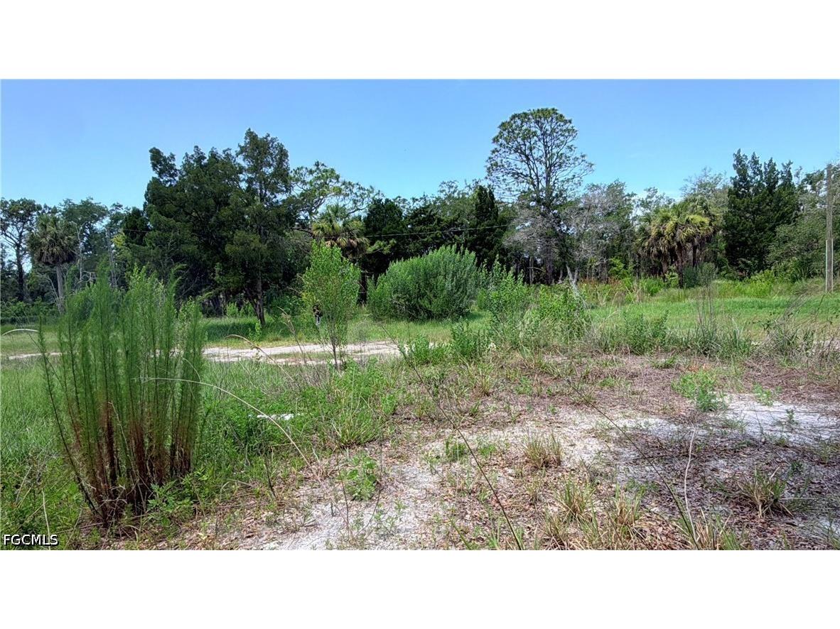 7675 Detroit Avenue Hudson FL 34667 2026024932 image9