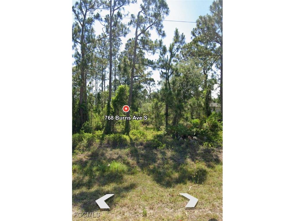 768 Burns Avenue S Lehigh Acres FL 33974 2025002883 image1