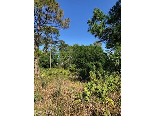 769 Horse Club Avenue Clewiston FL 33440 225025796 image1