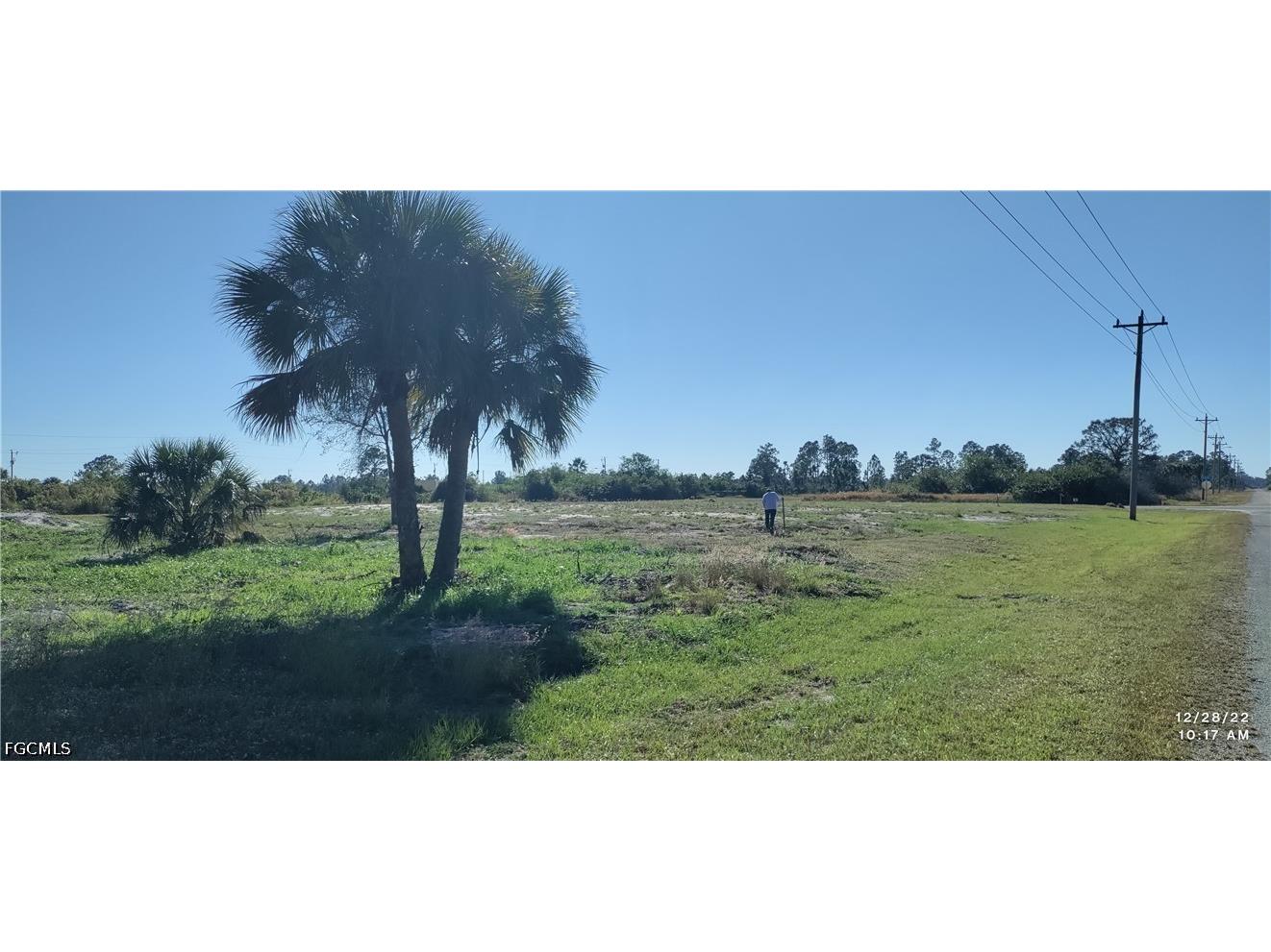 769 Joponica Avenue S Lehigh Acres FL 33974 2026025349 image1