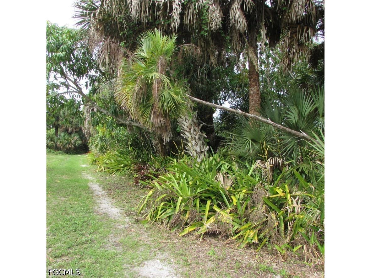 7697 Beach Daisy Lane Bokeelia FL 33922 2026025373 image37