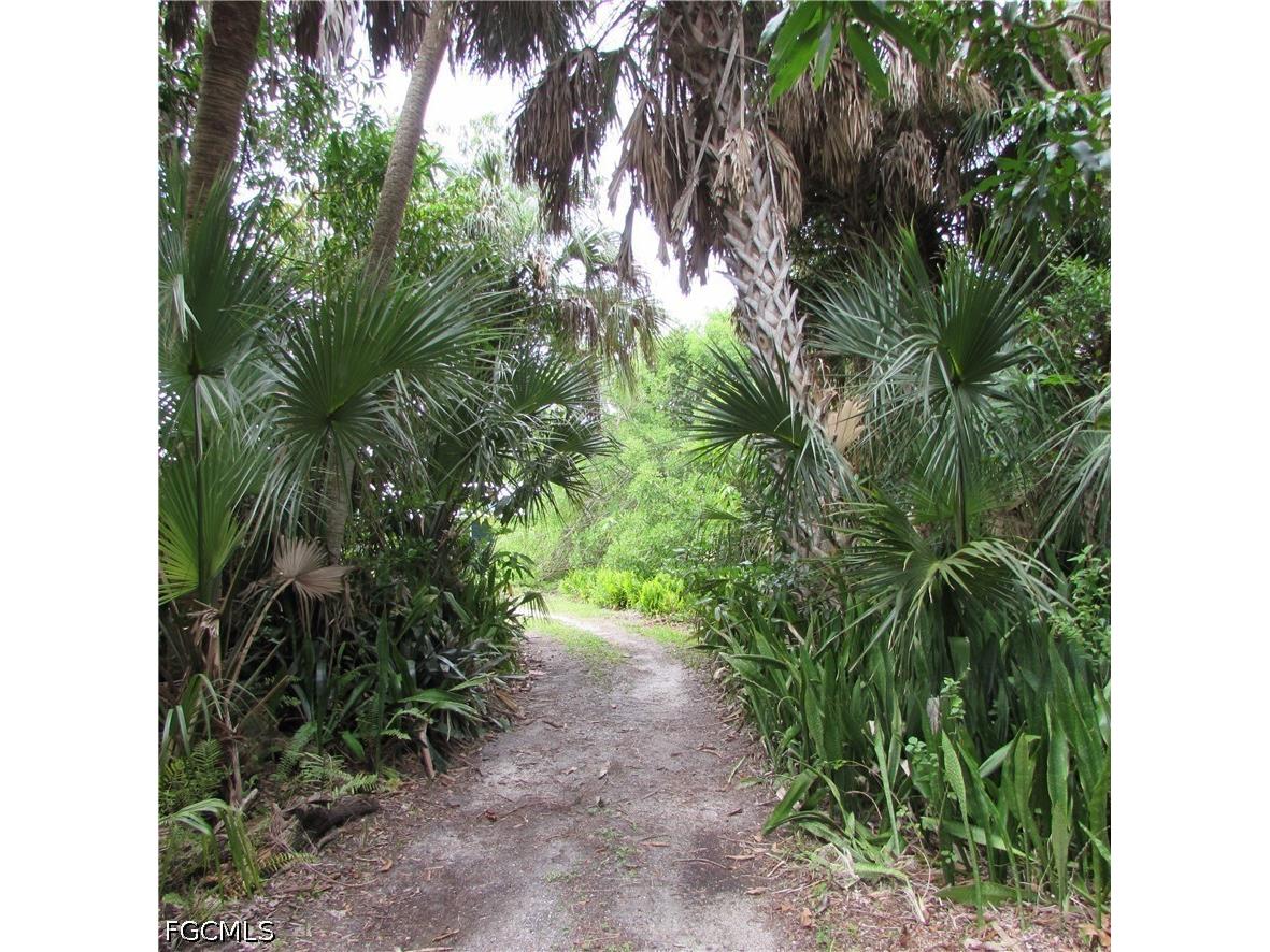 7697 Beach Daisy Lane Bokeelia FL 33922 2026025373 image41