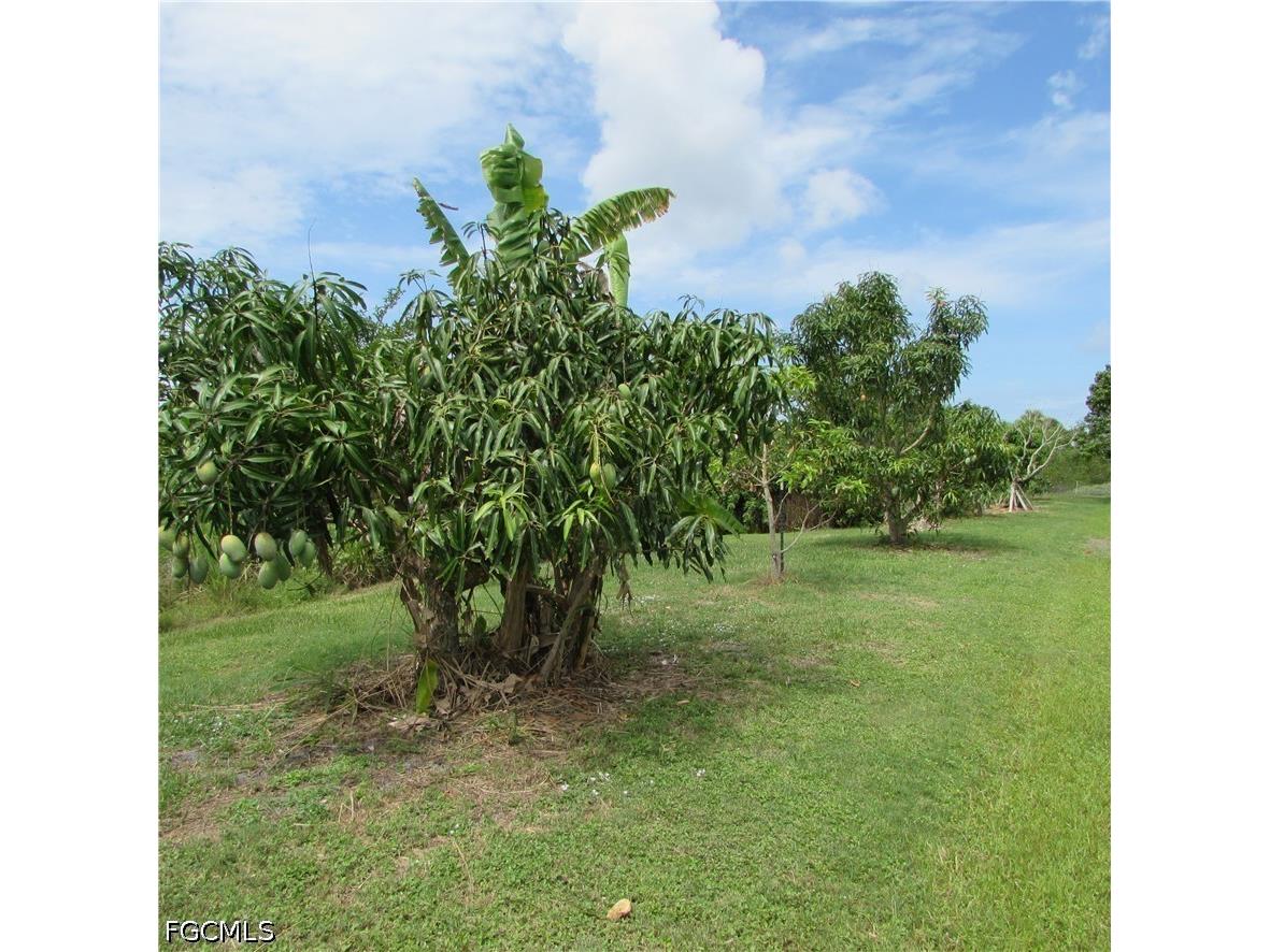 7697 Beach Daisy Lane Bokeelia FL 33922 2026025373 image47