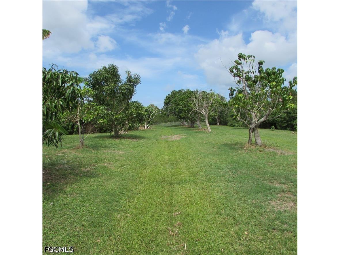 7697 Beach Daisy Lane Bokeelia FL 33922 2026025373 image48