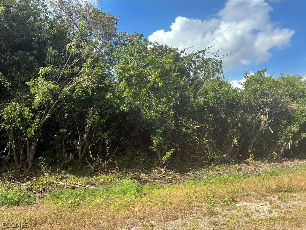 770 N Brida Street Clewiston FL 33440 2026007297 image3