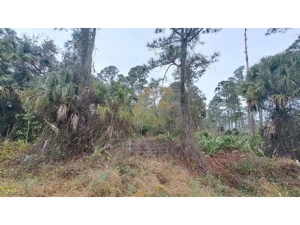 770 S Jinete Street Clewiston FL 33440 2025005033 image1