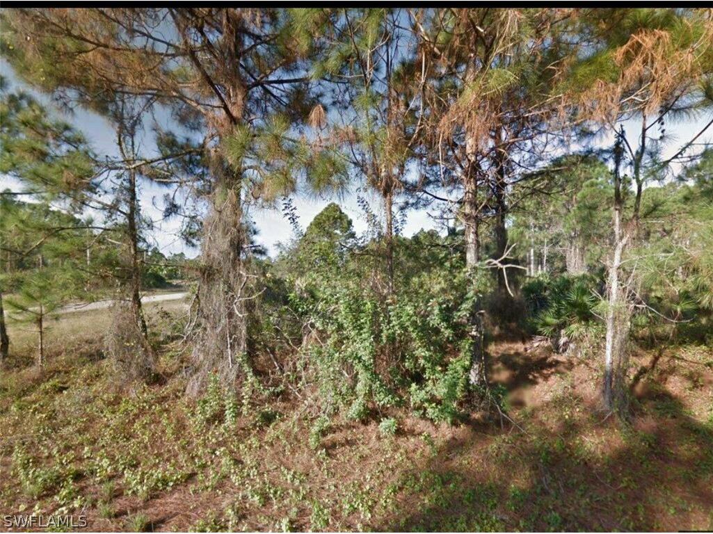 770 Worth Avenue Lehigh Acres FL 33974 224056086 image1