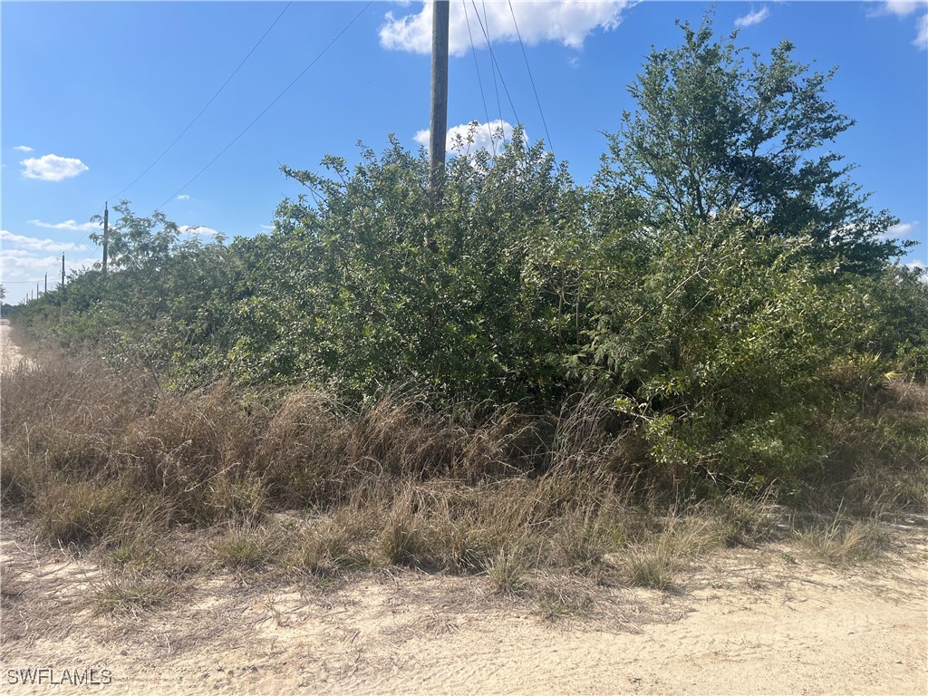 7716 Wheeler Road Labelle FL 33935 225023156 image12