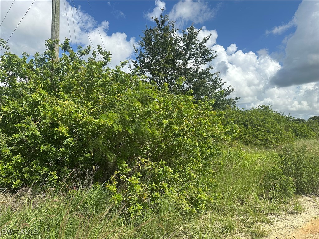 7716 Wheeler Road Labelle FL 33935 225023156 image2