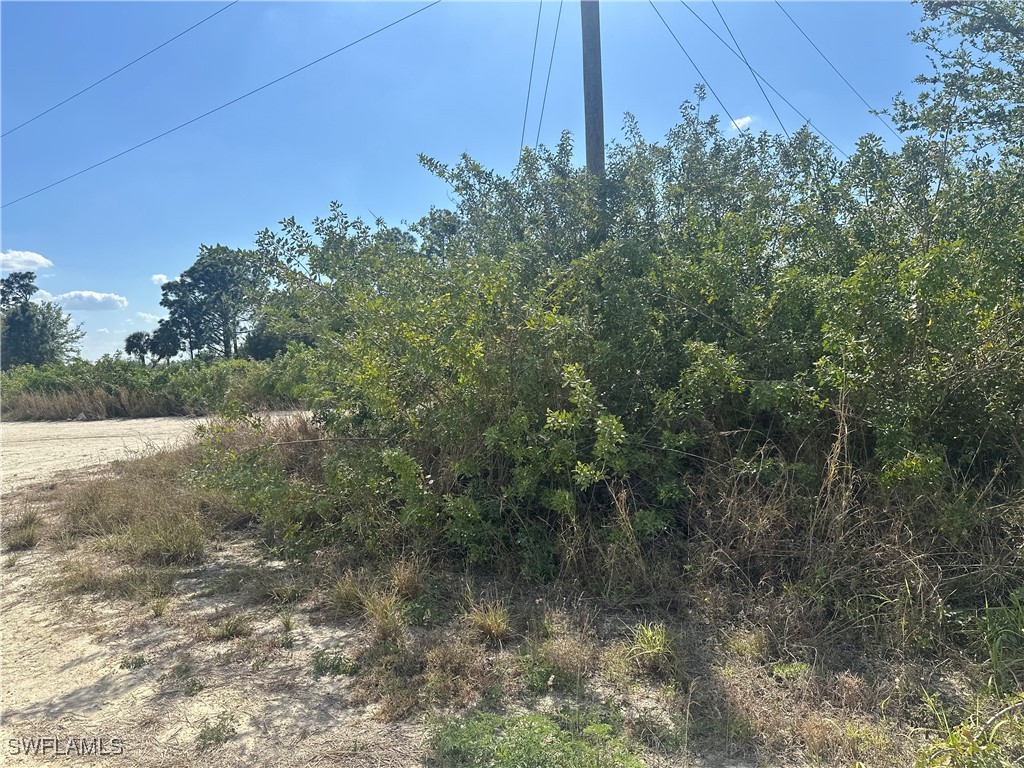 7716 Wheeler Road Labelle FL 33935 225023156 image3