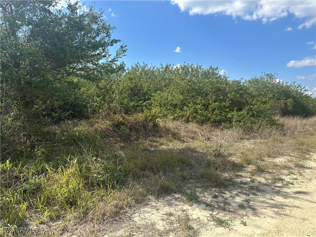 7716 Wheeler Road Labelle FL 33935 225023156 image4