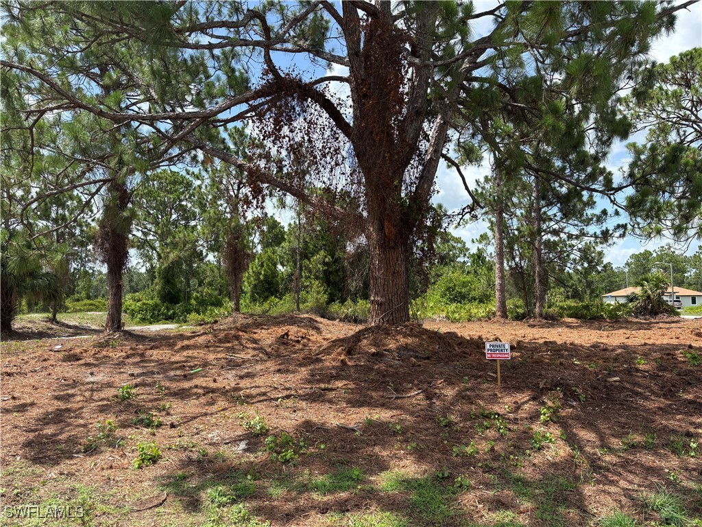 774 Genoa Avenue S Lehigh Acres FL 33974 225049759 image1