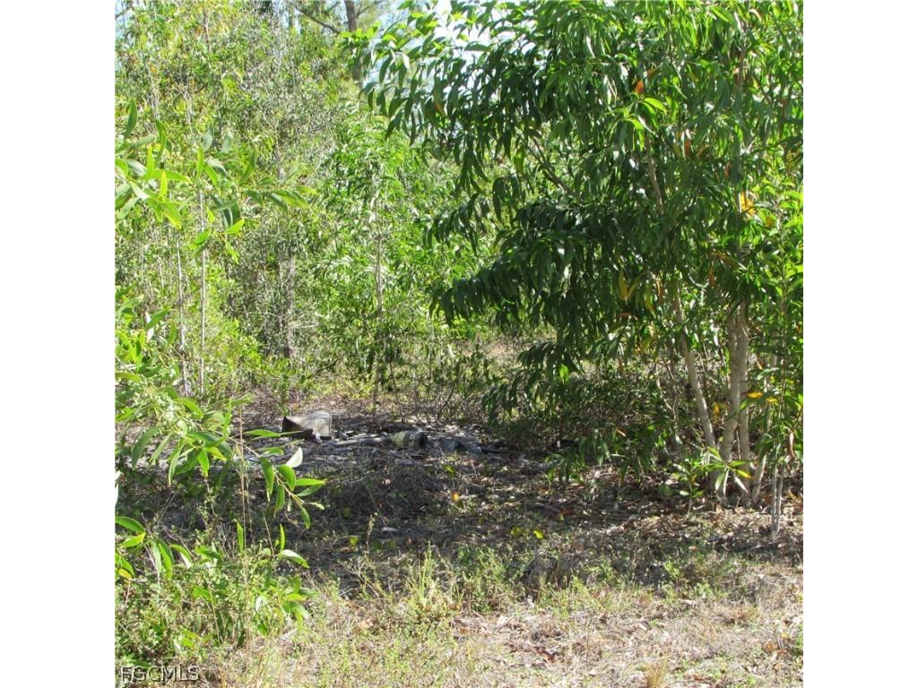 7757 Breakwater Court Bokeelia FL 33922 2026011768 image6