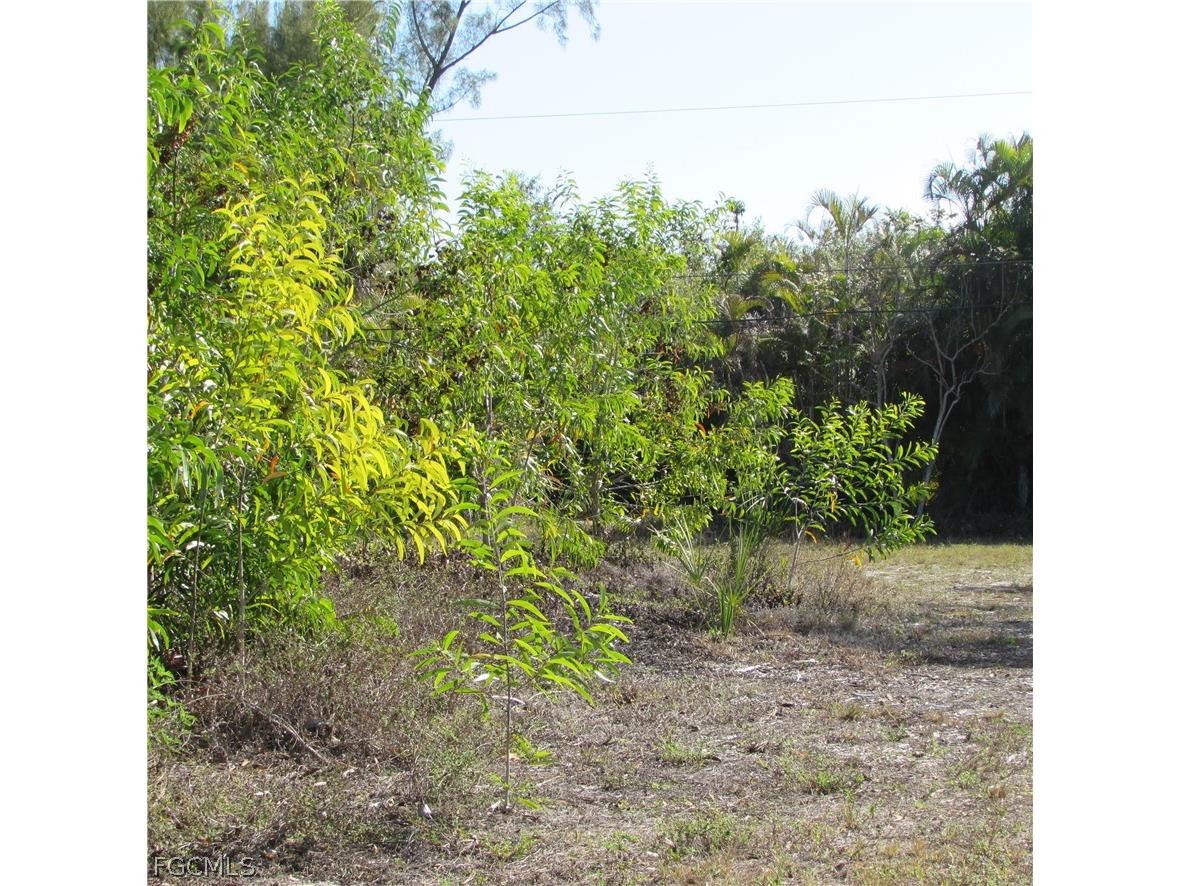 7758 Breakwater Court Bokeelia FL 33922 2026012053 image7