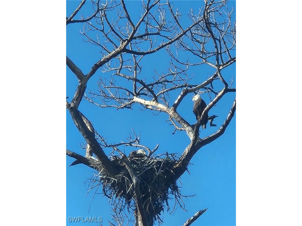 777 Walkerbilt Road Naples FL 34110 225059185 image6