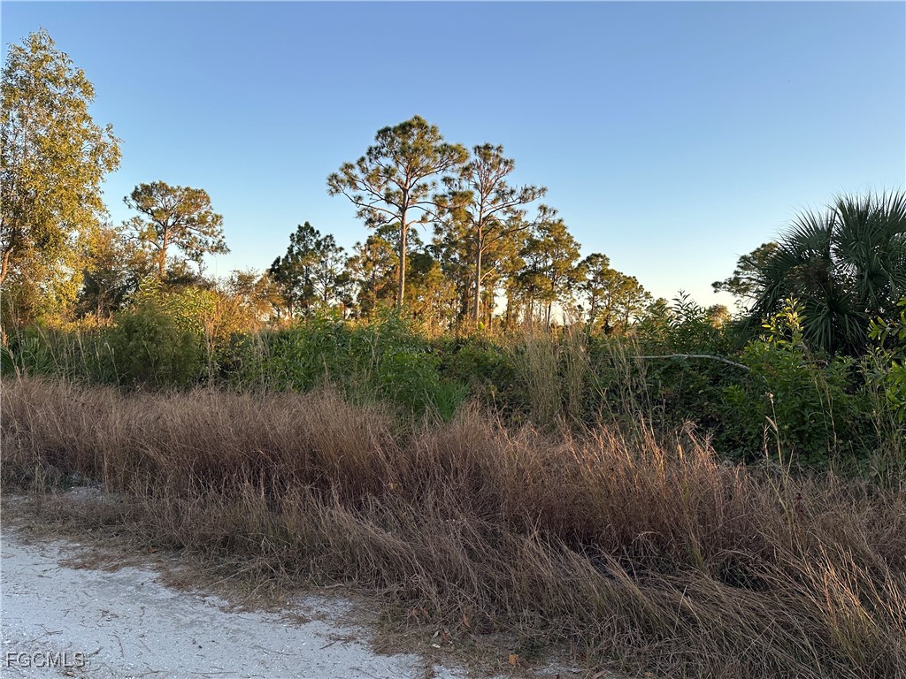 7789 1st Terrace Labelle FL 33935 2025025887 image1