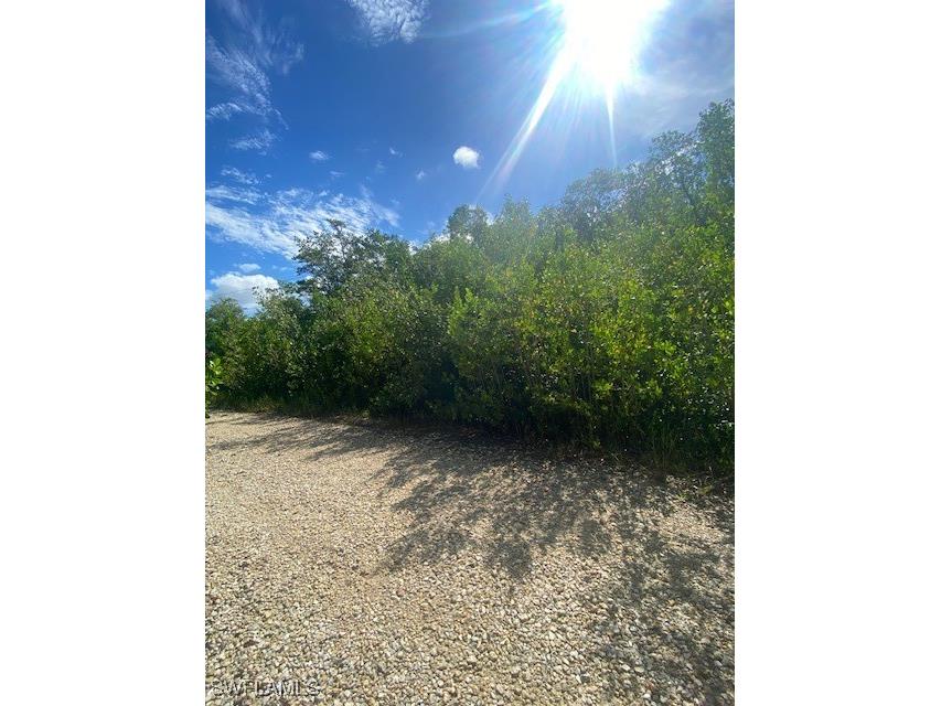 78 Otter Avenue Everglades City FL 34139 224063884 image3