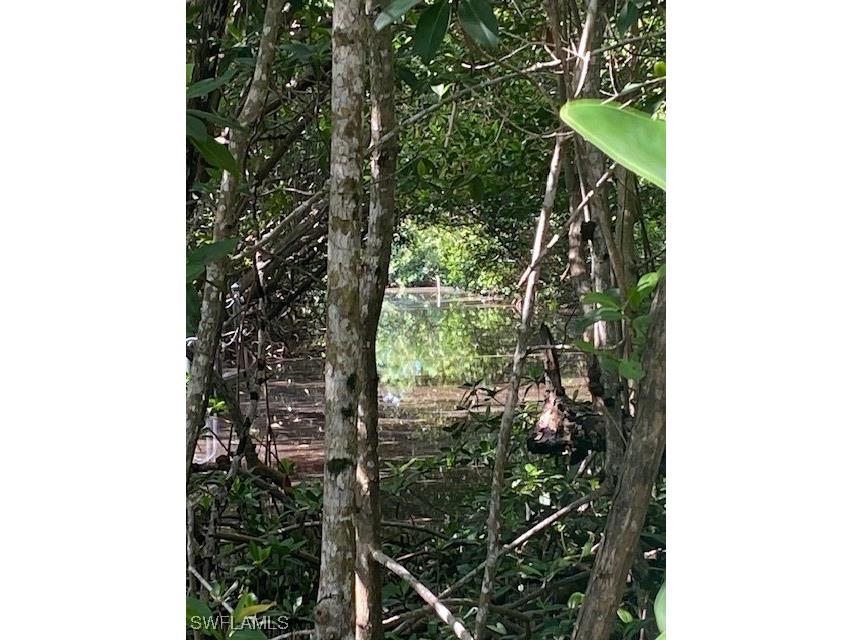 78 Otter Avenue Everglades City FL 34139 224063884 image4