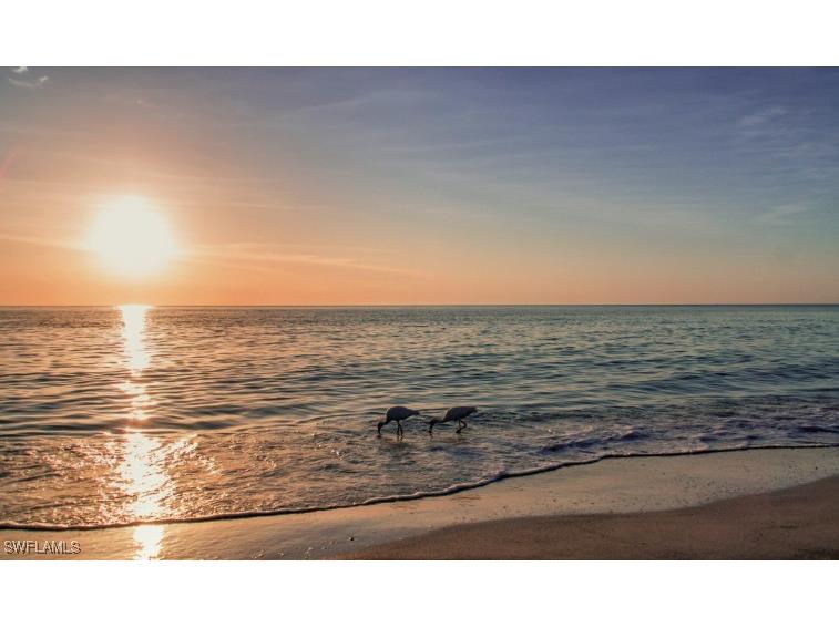 7818 Great Heron Way #303 Naples FL 34104 225071401 image22