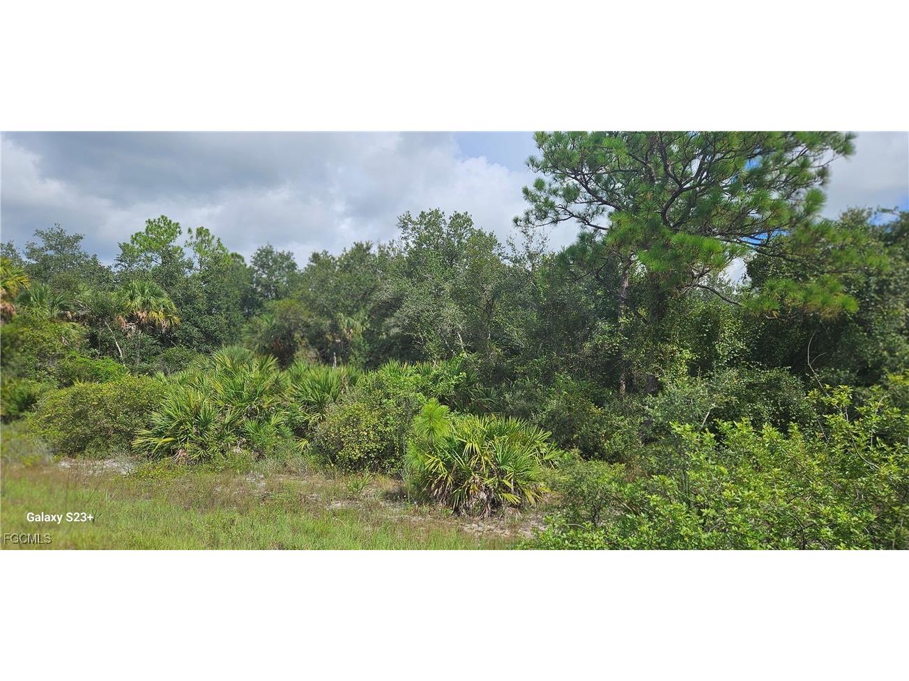 7824 23rd Terrace Labelle FL 33935 2025008891 image1