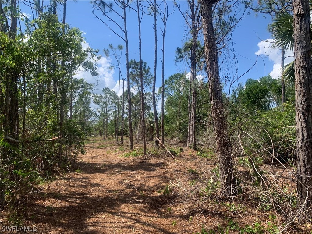 7824 Cleveland Drive Punta Gorda FL 33982 223031407 image1