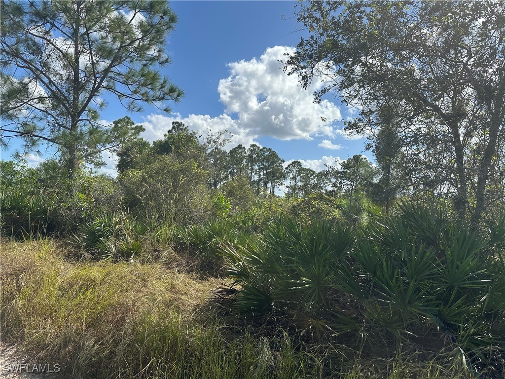 7825 1st Terrace Labelle FL 33935 224091283 image1