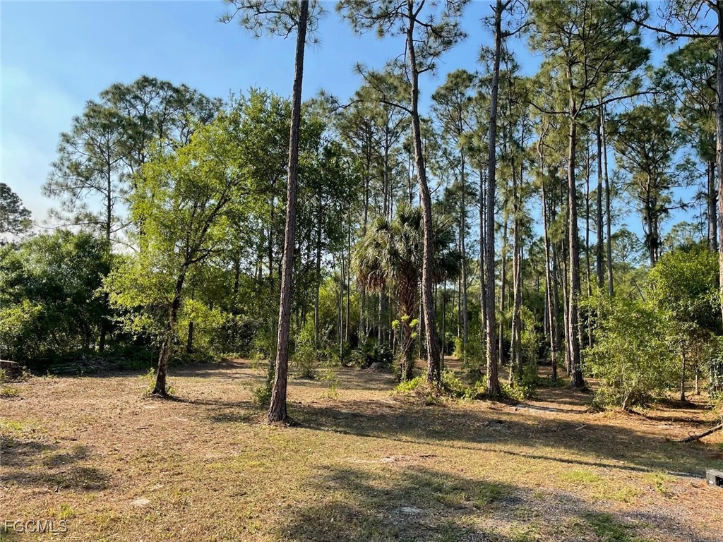 783 Pine Cone Avenue Montura Ranches FL 33440 2026003039 image4