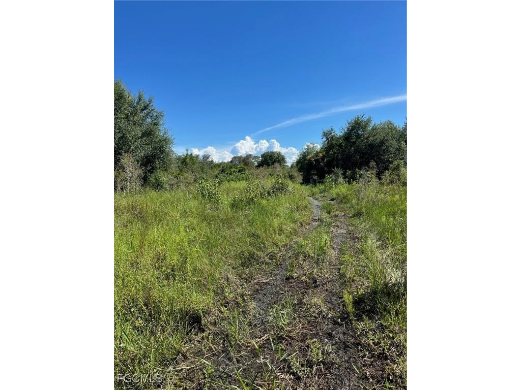 7845 Coffey Road Moore Haven FL 33471 2025005144 image1