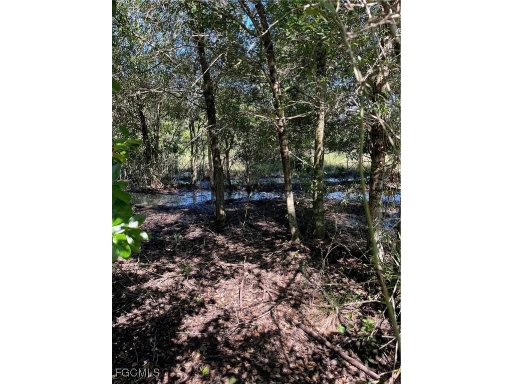 7845 Coffey Road Moore Haven FL 33471 2025005144 image2