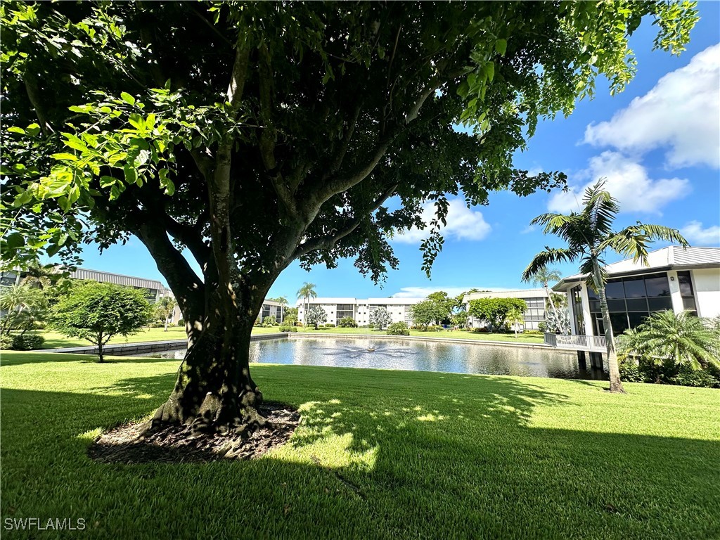 788 Park Shore Drive #D20 Naples FL 34103 225066209 image31