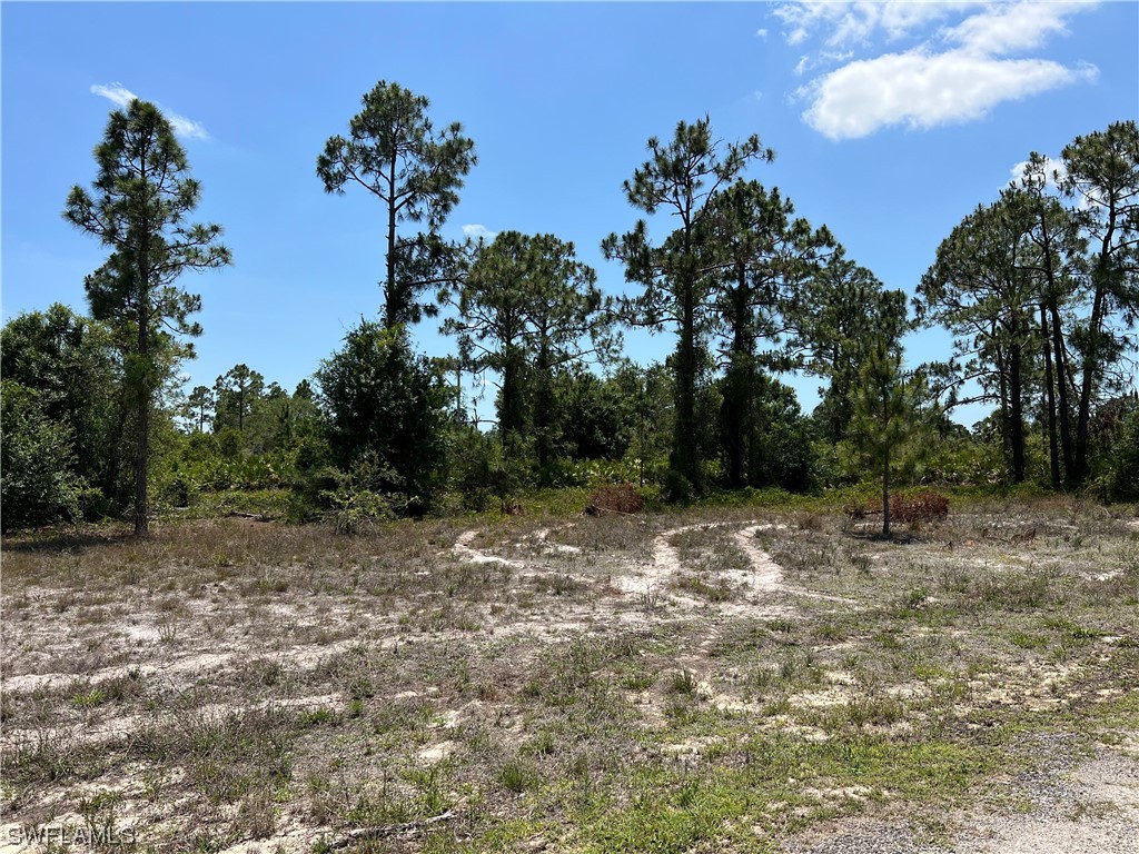 7897 5th Place Labelle FL 33935 223033802 image1