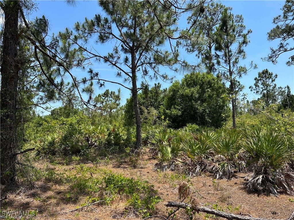 7897 5th Place Labelle FL 33935 225060364 image3