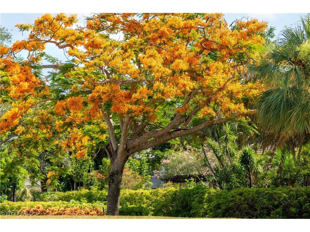 790 Willowbrook Drive #307 Naples FL 34108 225073516 image27