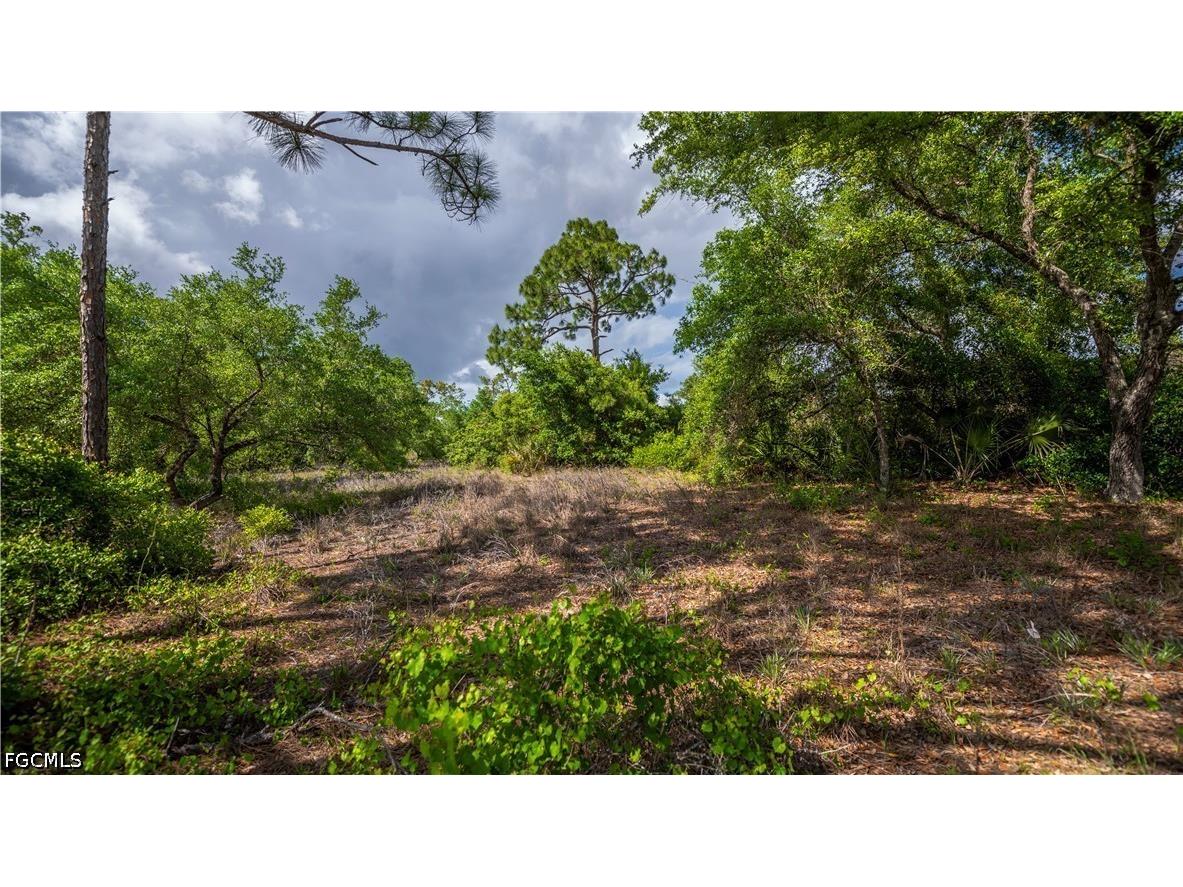 7906 23rd Place Labelle FL 33935 2026017237 image5