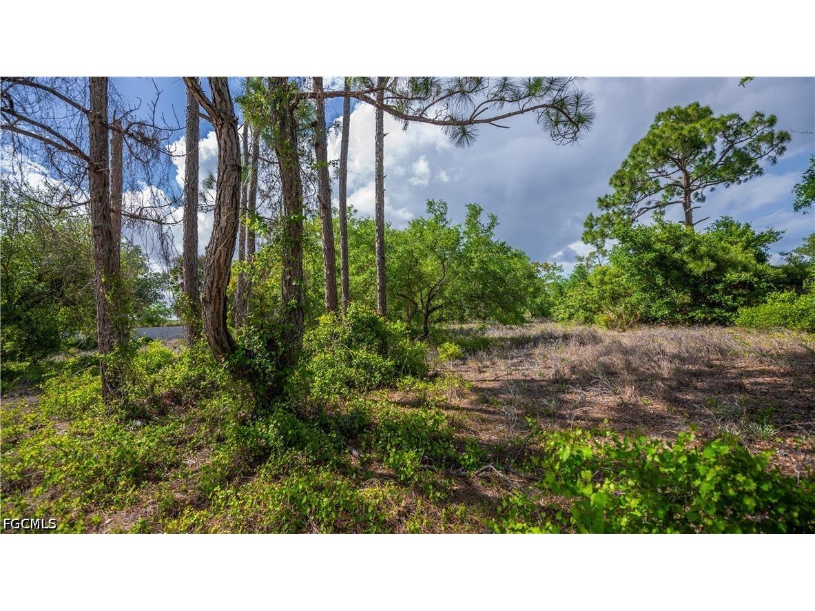7906 23rd Place Labelle FL 33935 2026017237 image6