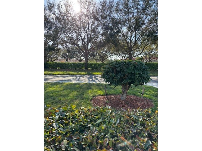 7918 Haven Drive #2 Naples FL 34104 225018535 image28