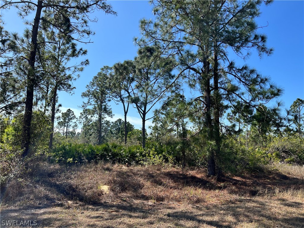 7933 5th Place Labelle FL 33935 223011042 image1