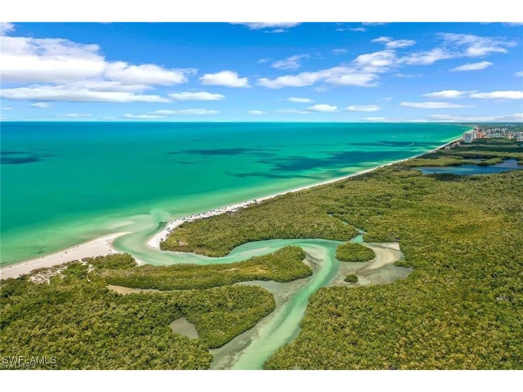 795 Bentwater Circle #202 Naples FL 34108 225076518 image48