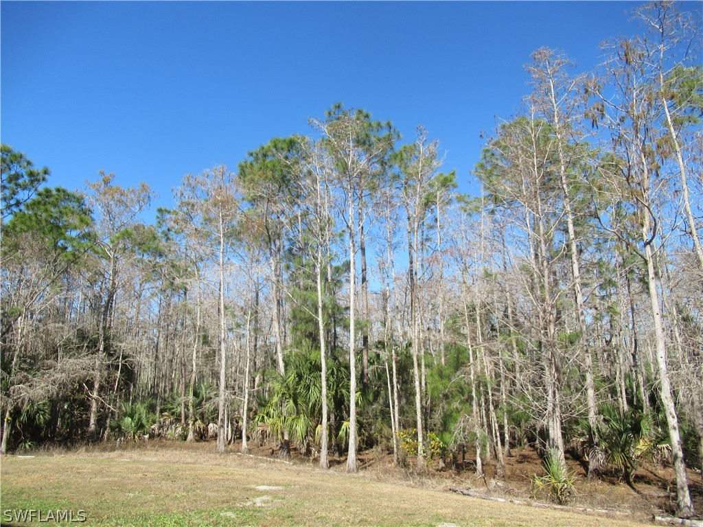 7960 Preserve Circle #634 Naples FL 34119 225067279 image19