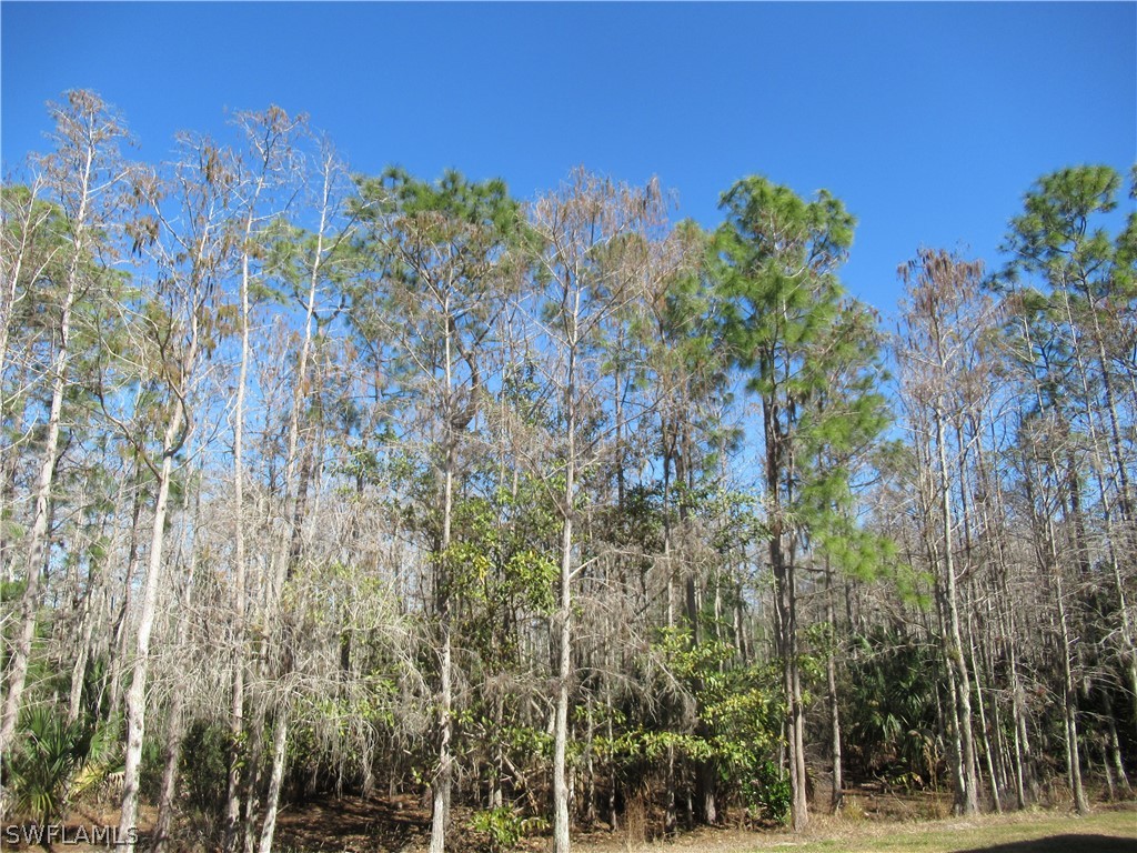 7960 Preserve Circle #634 Naples FL 34119 225067279 image20