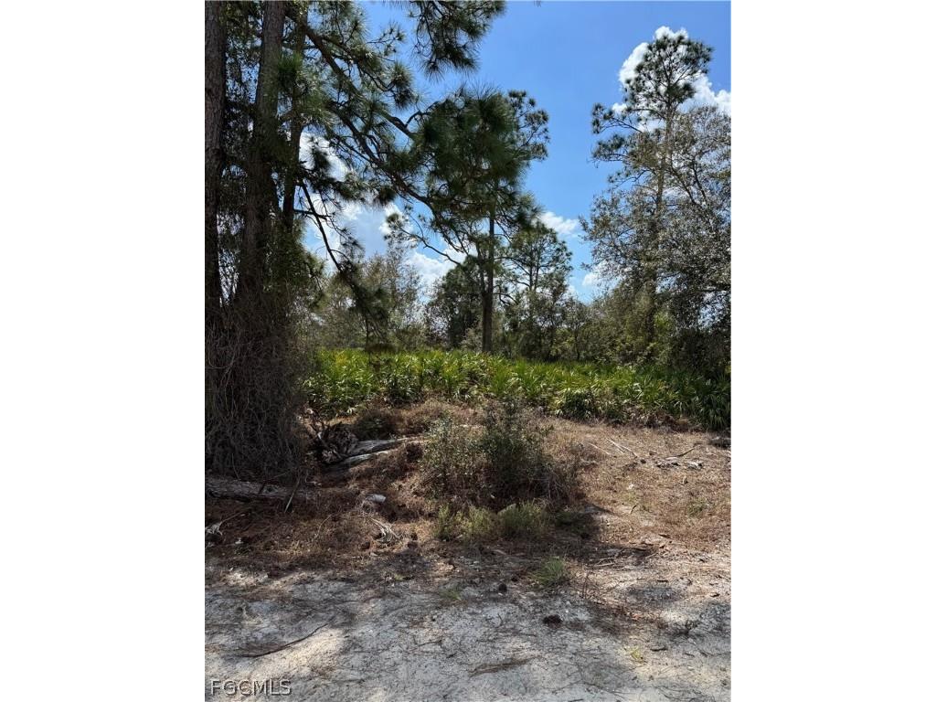 7969 3rd Terrace Labelle FL 33935 2026010840 image2