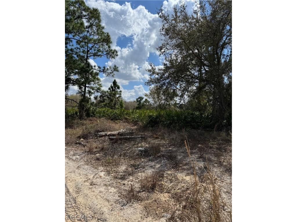 7969 3rd Terrace Labelle FL 33935 2026010840 image6