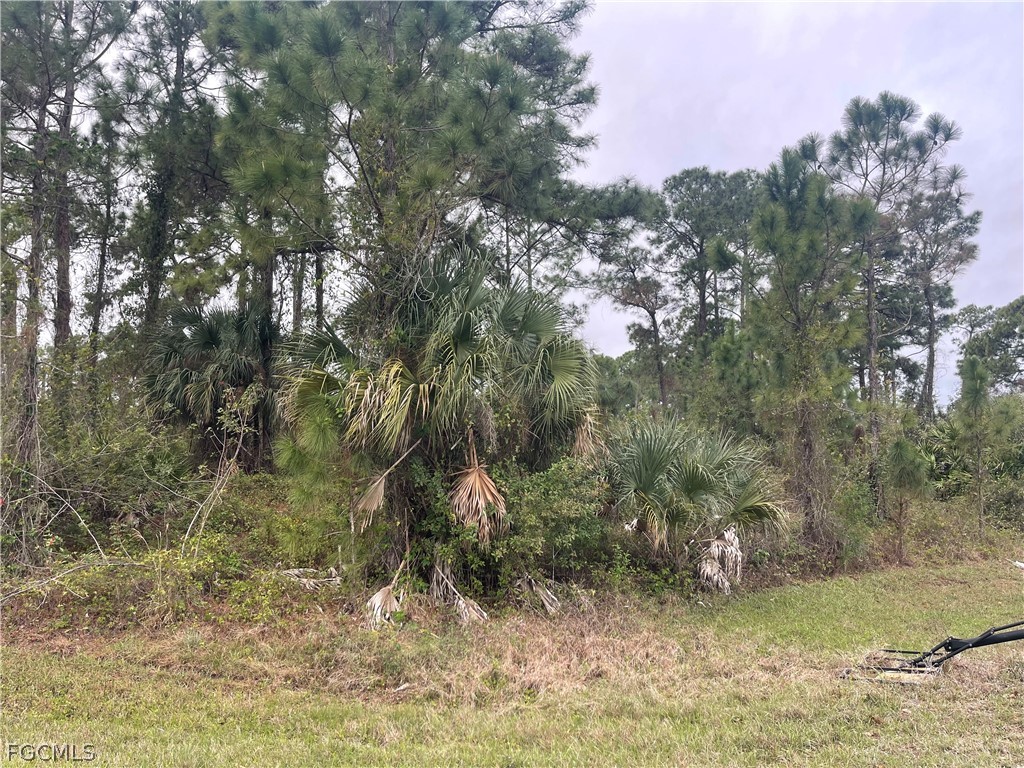 8004 Royal Court Labelle FL 33935 2026012863 image2