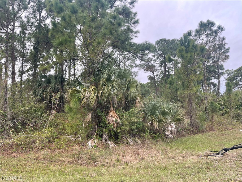 8004 Royal Court Labelle FL 33935 2026012863 image3